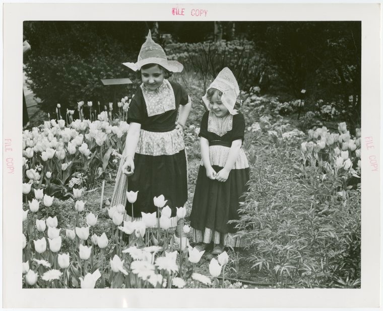 Gardens on Parade - Two Dutch Folk Dancers by tulip bed