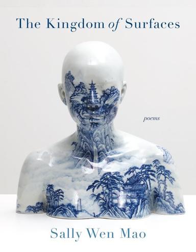 Book cover of The Kingdom of Surfaces, featuring a photograph of a porcelain bust.