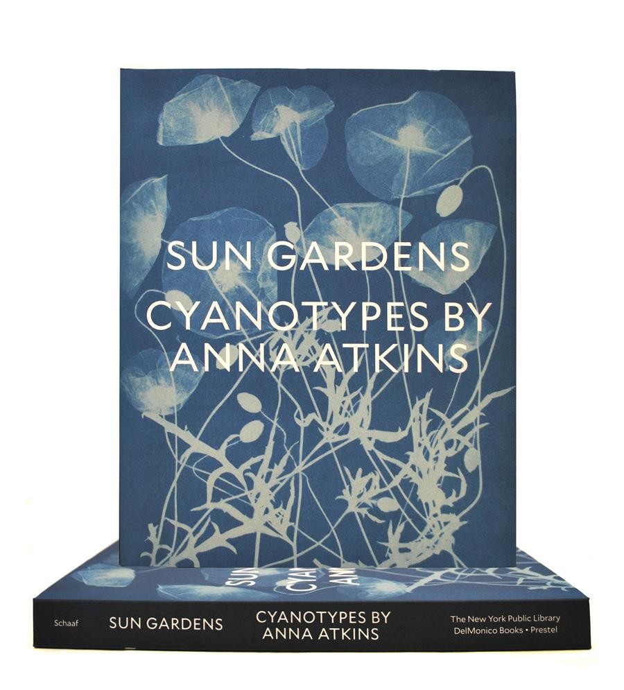  Cyanotypes by Anna Atkins book cover