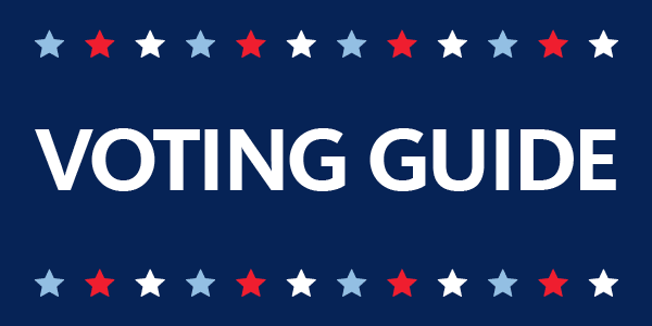 The words Voting Guide in white against a dark blue background, fringed with red, white, and blue stars.