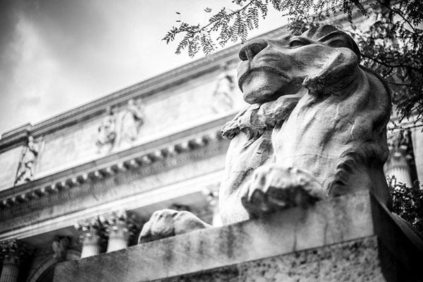 NYPL lion statue