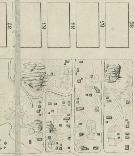 Map of the lands included in the Central Park, from a topographical survey, June 17th, 1856 drawn by Egbert Veile showing Seneca Village