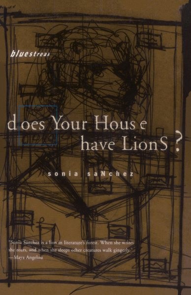 Does Your House Have Lions? book cover