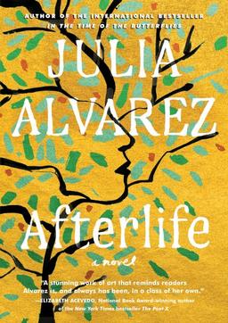 Book cover of afterlife 