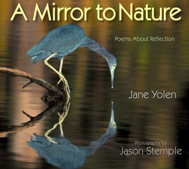 Mirror to Nature : Poems About Reflection