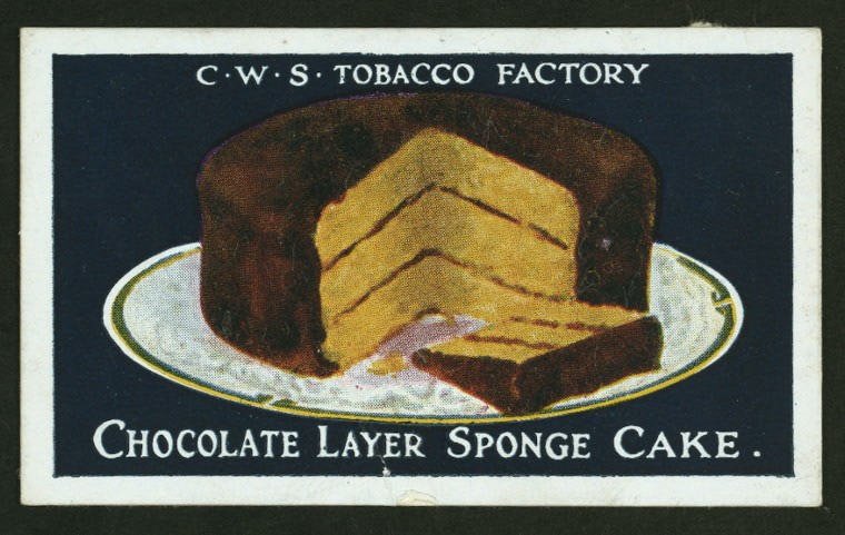 Chocolate layer sponge cake.