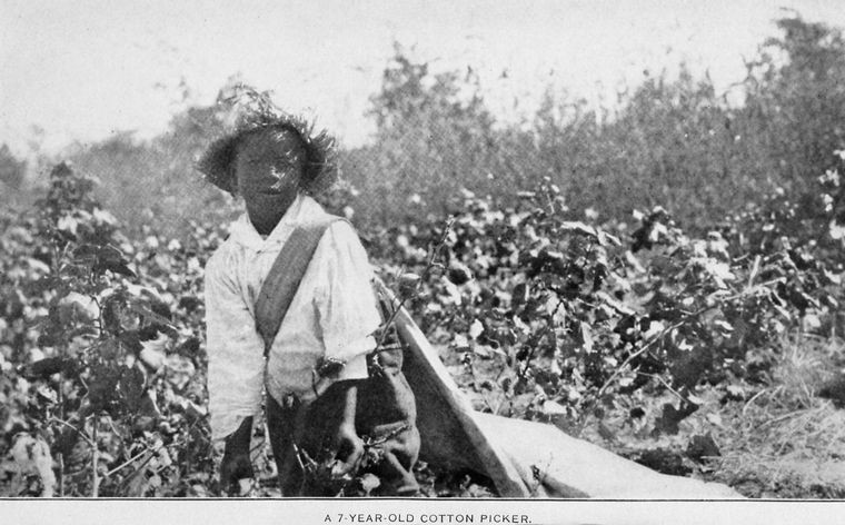 A 7 Year Old Cotton Picker