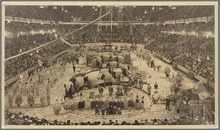 Ringling Bros and Barnum and Bailey Combined Circus