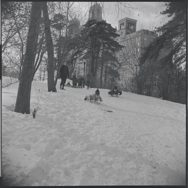 kids sledding in Central Park
