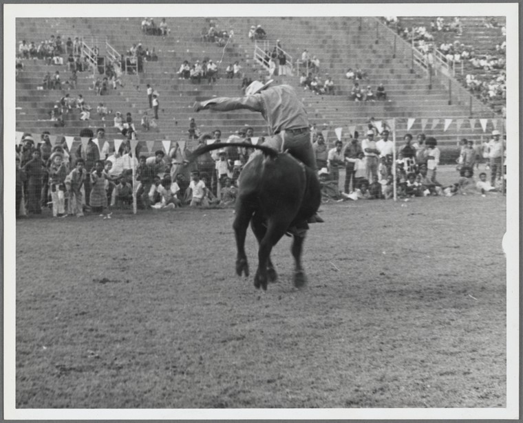 man riding a bucking bull at a rodeo as young Black children and parents look on