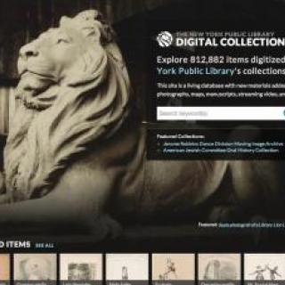 Screenshot of Digital Collections featuring a photo of a marble lions statue.