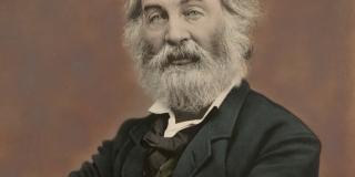 Writer, Walt Whitman, is shown in an 1865 photograph. He is shown looking directly at the viewer, smiling slightly through a thick beard, with arms crossed. 