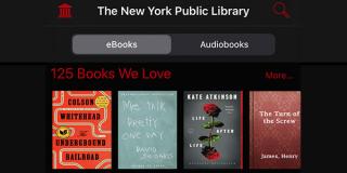 Screenshot of the SimplyE interface featuring e-books and audio books from the 125 Books We Love list.