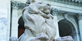 Photo of a marble lion statue against the facade of the Stephen A. Schwarzman Building