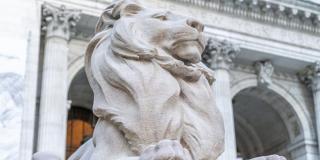 Close-up photo of a marble lion statue in front of the Stephen A. Schwarzman Building