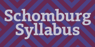 The text Schomburg Syllabus with a purple Schomburg Center "S" Logo