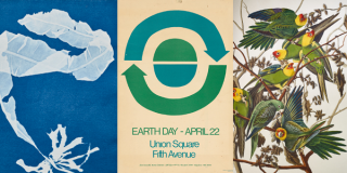 Three images in a row: A cyanotype of algae, a poster for the first Earth Day, and several green-and-yellow tropical birds