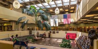 Atrium inside Belmont Library and Enrico Fermi Cultural Center with skylights and a large palm tree.