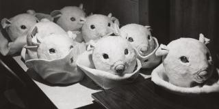 A black and white photo of 8 mouse head masks sitting on a table.
