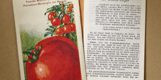 A booklet in German with bright tomatoes on the cover