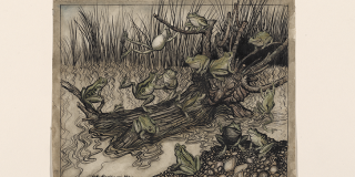 Colored illustration showing a log in water surrounded by grass and covered in leaping and swinging frogs.