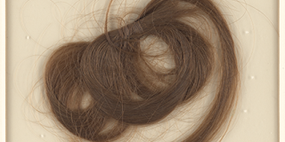 Lock of brown hair encapsulated in a mylar sleeve