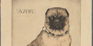 Color etching of a seated dog, looking directly at the viewer and wearing a collar with bells; his name, “Azor,” is printed in large letters at upper left