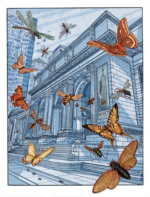 butterflies fly into the main entrance of the library