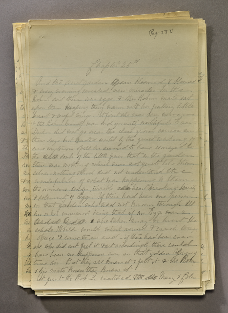 A stack of papers as part of a manuscript draft of The Secret Garden, handwritten in cursive by Frances Hodgson Burnett on lined paper with pencil.