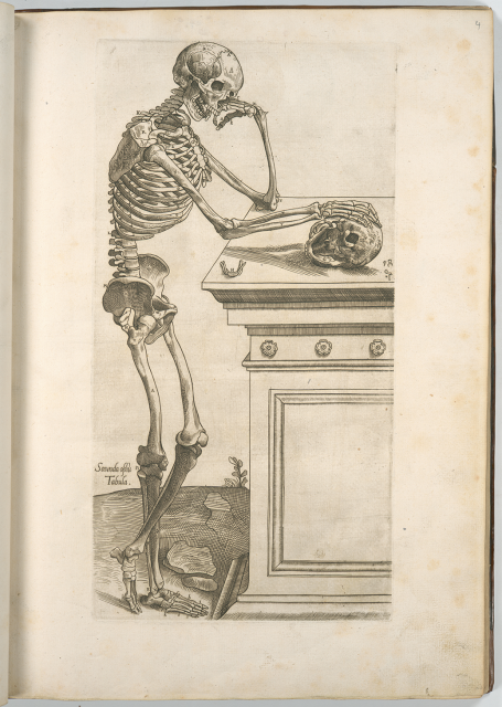 A skeleton stands, with one leg crossed over the other; it leans against a counter with a hand on another skull
