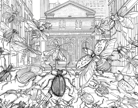 black and white drawing of bugs flying into the entrance of the library