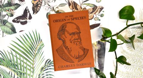 Darwin's Origin of Species sitting on a background of leaves and vines